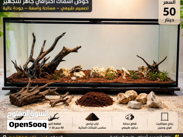 حوض أسماك احترافي جاهز للتجهيز – فرصة ممتازة لعشاق الأحواض الطبيعية!