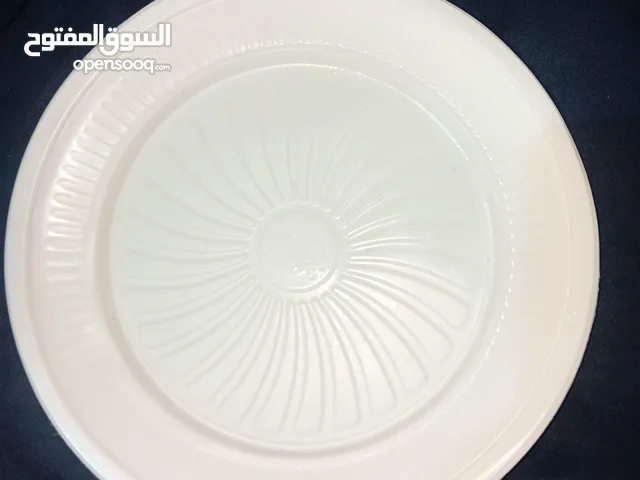 صناعة الاكواب و الصحون البلاستكية