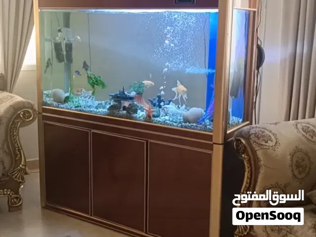 للي يحب يزين بيته في العيد معروض حوض اسماك فخم كبير جدا قياس 180 سم في 100 سم