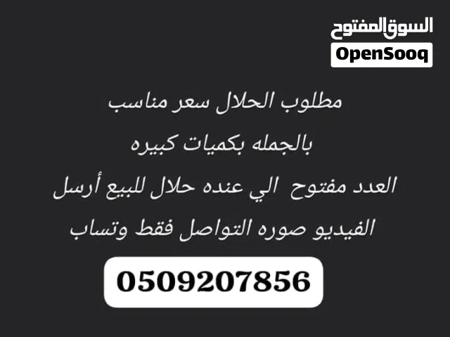 مطلوب حلال جمله