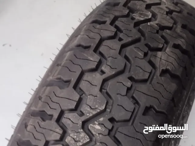Riken 16 Tyre & Rim in Muscat