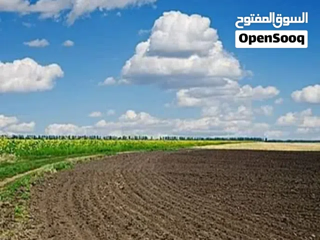 Mixed Use Land for Sale in Ma'an Al-Hussainiyyah