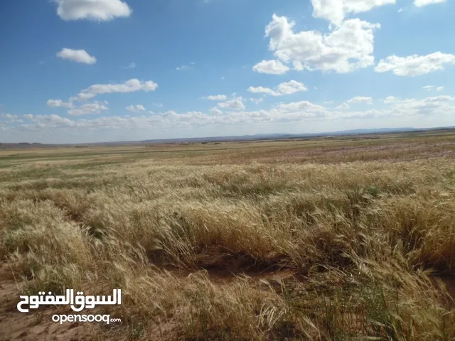 40 هكتار بعقد ملكية موثق و دفتر عقاري للبيع بتراب ولاية الجلفة
