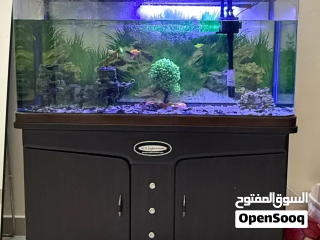 Aquarium Fish Tank Full Set for Sale