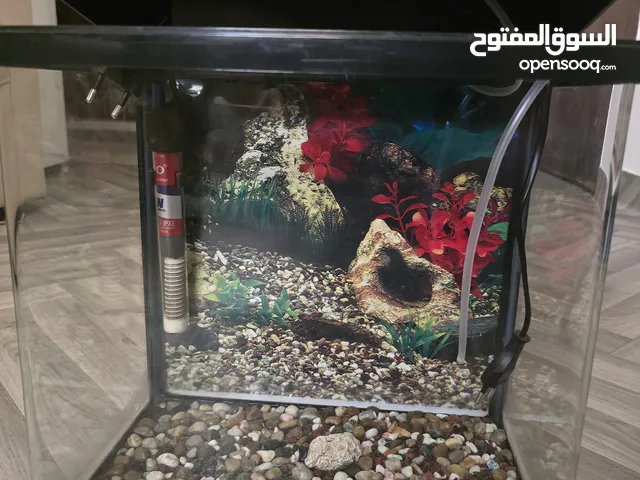 FISH TANK WITH FULL ACCESSORIES