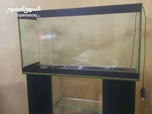 حوض سمك عدد واحد للبيع