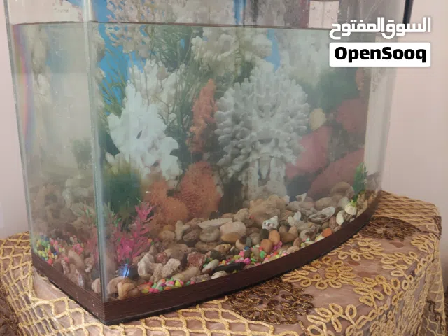 حوض سمك مع كامل قطعه