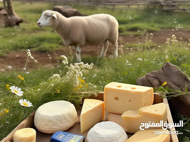 مطلوب ممول للعمل في مجال الالبان والاجبان