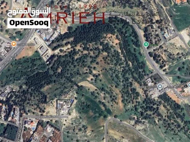 Residential Land for Sale in Amman Dabouq