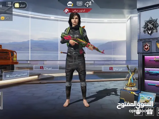 Pubg Accounts and Characters for Sale in Amman