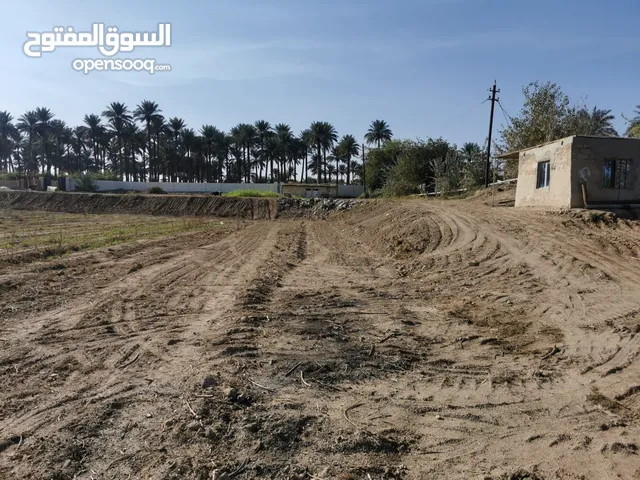 Farm Land for Sale in Baghdad Dora