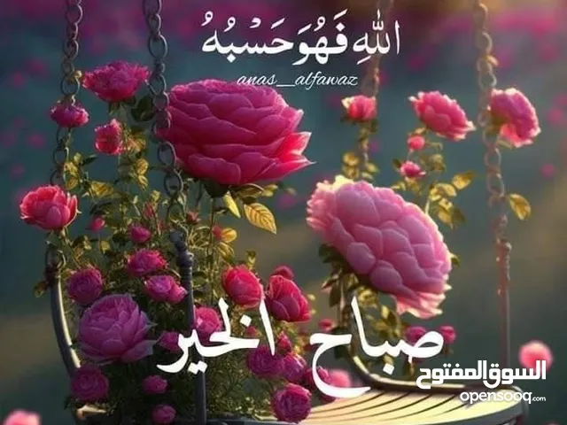 مطلوب للتبني ببغاء