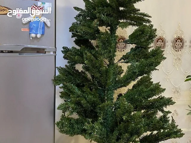 شجر كرسمس اللبيع كل وحده وسعرها موجوده داخل الفاو الشمالي