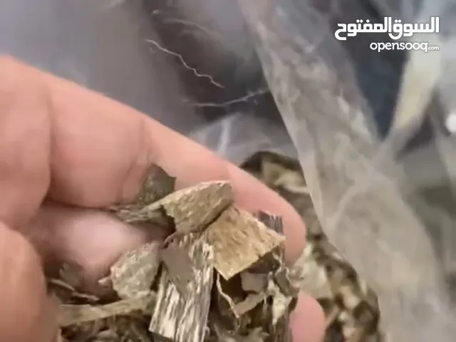 دقة تراد ( قشور الذهب ) ورقائق تراد