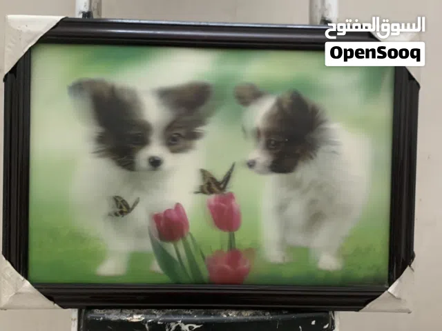 شبشب  نسائي