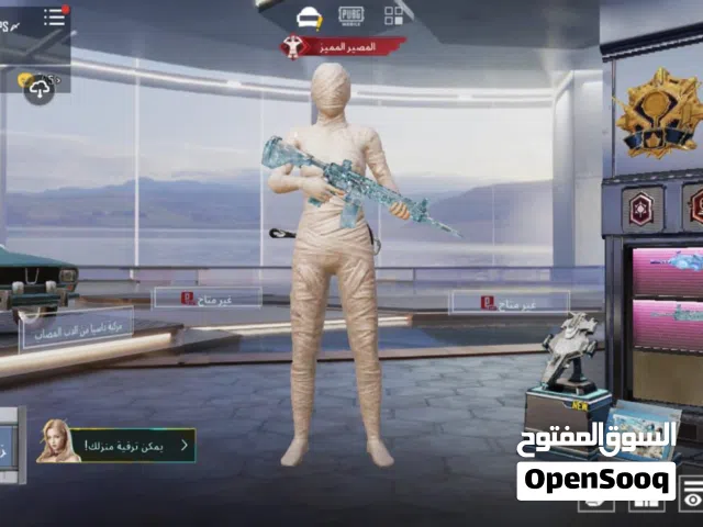 Pubg Accounts and Characters for Sale in Fayoum