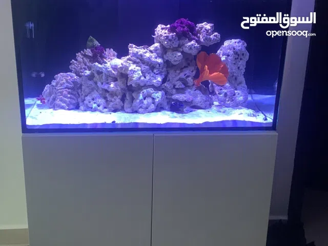 Salt water fish tank 300liter