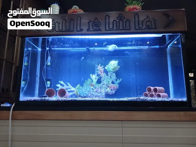 حوض سمك يغطى خشب زان