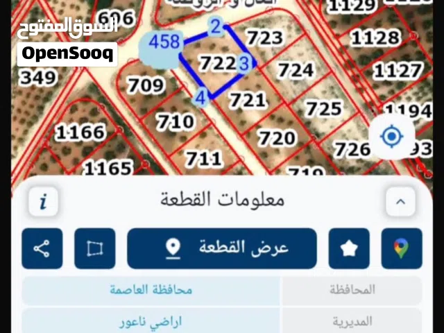 Residential Land for Sale in Amman Naour