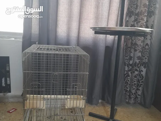 كسسوارت طيور