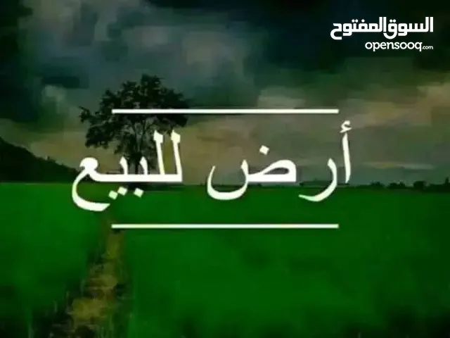 أرض تجارية للبيع في النوفليين ...