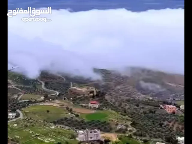 Mixed Use Land for Sale in Salt Kafr Hooda
