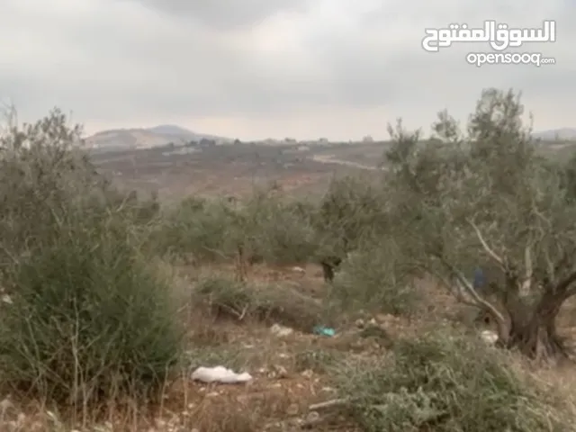 Mixed Use Land for Sale in Qalqilya Immatin