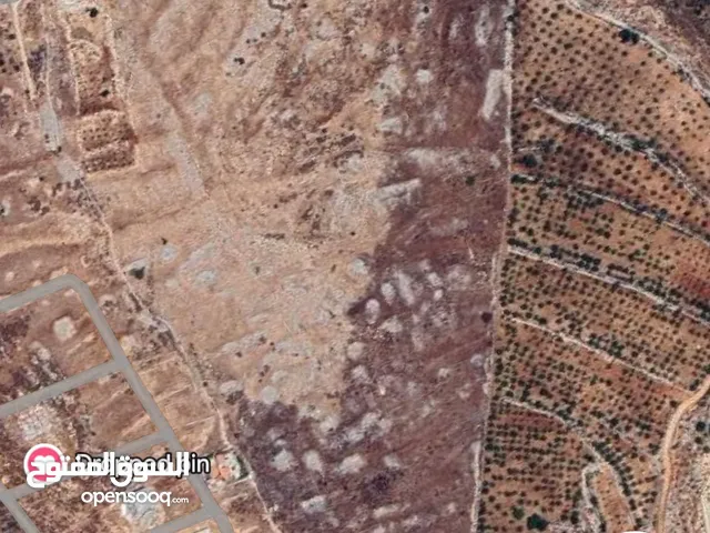 Mixed Use Land for Sale in Nablus Taluza