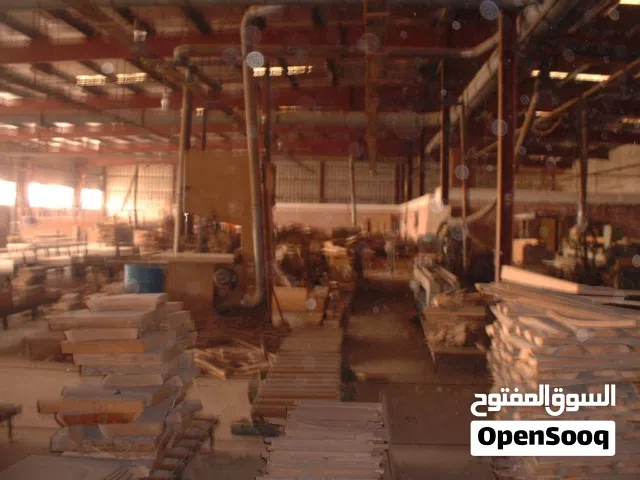 مصنع اخشاب للبيع في موقع استراتيجي بالجيزة  على مساحه كبيره 50الف متر مربع ويمكن تغير النشاط