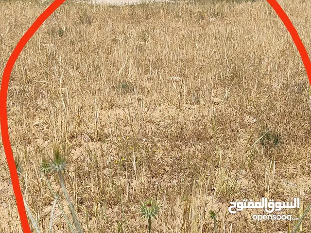 Residential Land for Sale in Amman Marka Al Shamaliya