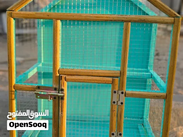متاح .. يرهم للطيور الحب والبلابل والفناجس وغيرها