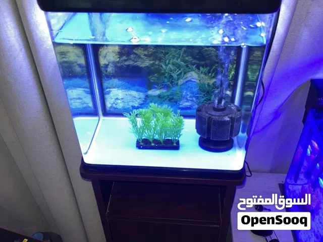 للبيع حوض سمك