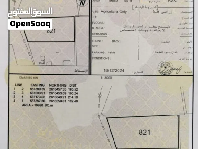 بركاء -السقسوق جنوب المزرعة فيها نخيل وليمون
