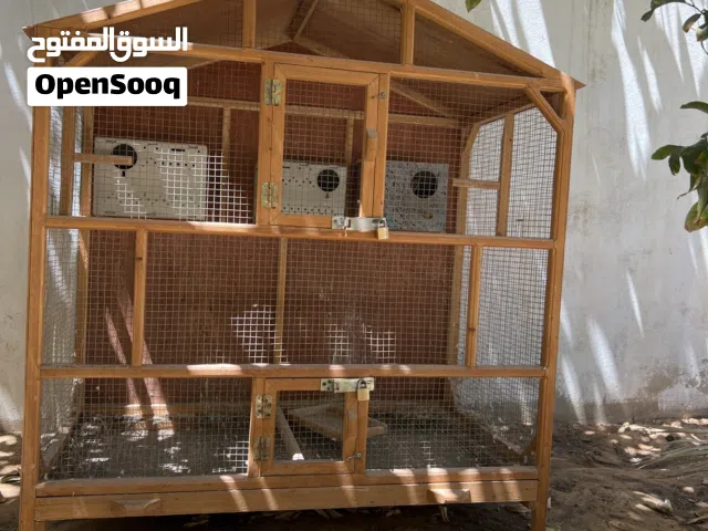 سزنه نضيفه ربي يبارك