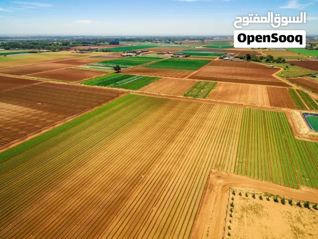 فرصة استثمارية زراعية