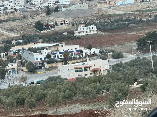 Residential Land for Sale in Jerash Al-Hashimiyyah