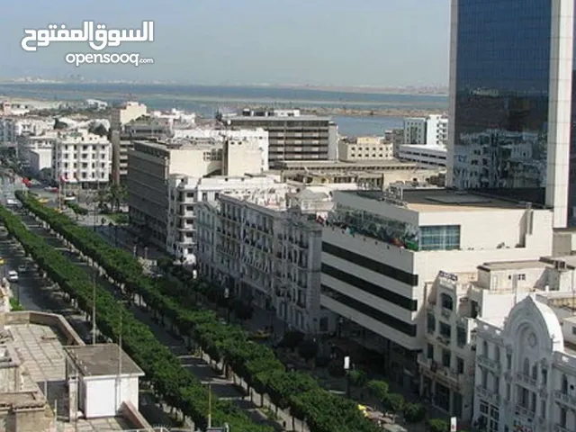 appartement bien meublé cv Tunis par jour