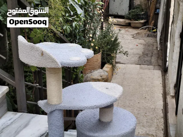 بيت قطط جميل ومميز