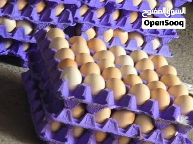 بيض بلدي غير مخصب للطعام
