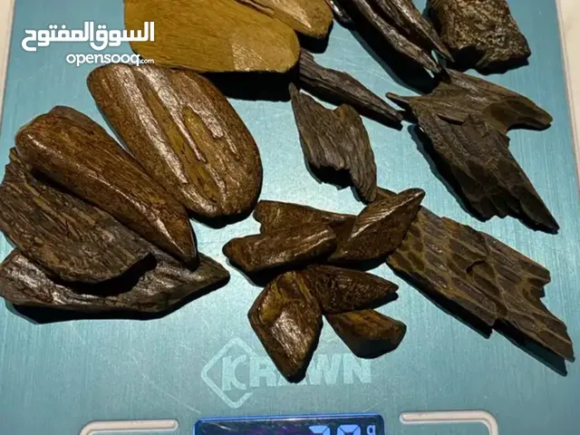 الان اوقيه منوعه من اجود انواع العود المحسن كلمنتان بنتلي مروكي التايقر
