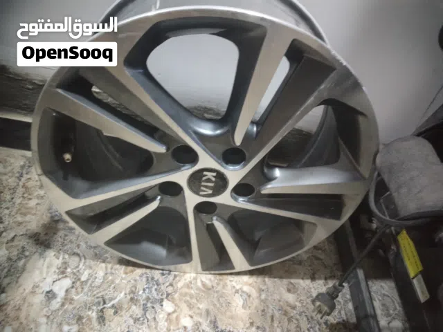 تخم ويل كب 17