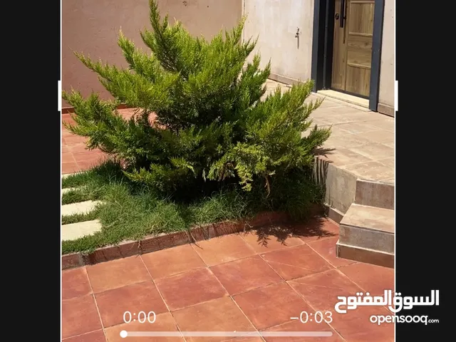 175 m2 4 Bedrooms Townhouse for Rent in Tripoli Ain Zara