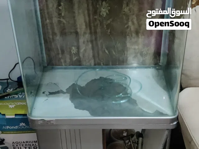 حوض سمك اجنبي