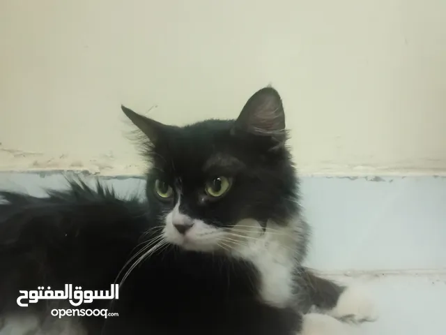 نضايفه لاتشكوء من امراض ابدن
