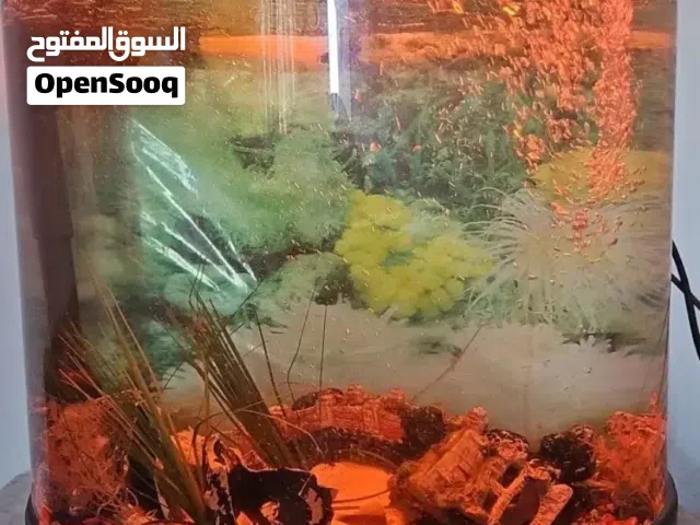 حوض سمك مع فلتر واغراض زينة