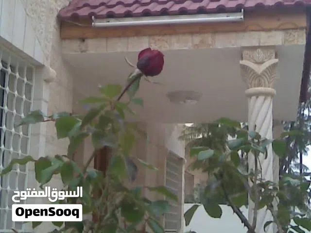 237 m2 More than 6 bedrooms Townhouse for Sale in Mafraq Hay Al-Zohoor