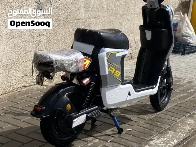 2024 اخرى اخرى