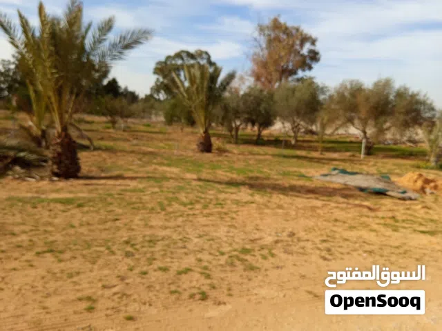 Residential Land for Sale in Tripoli Wadi Al-Rabi