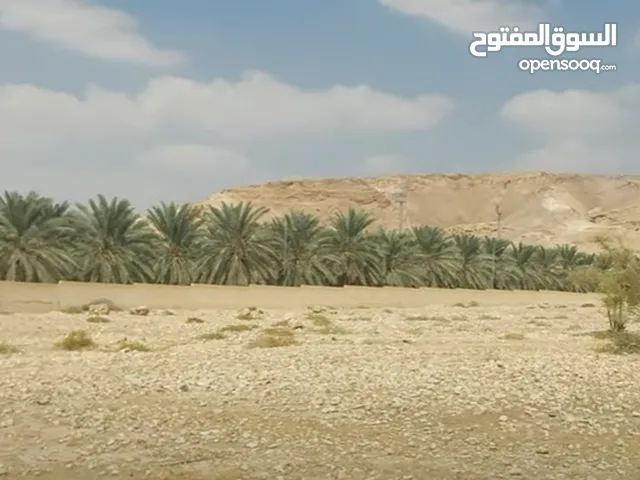 مطلوب أرض للبيع 600 م او مساحات اخرى لشاليه في مناطق الغور والبحر الميت