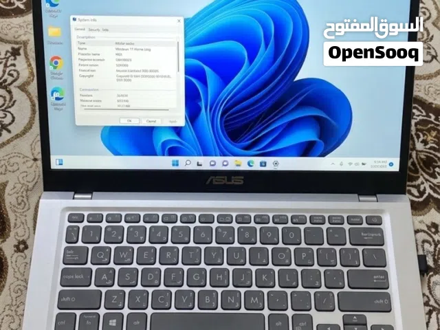 Windows Asus  Computers  for sale  in Sana'a